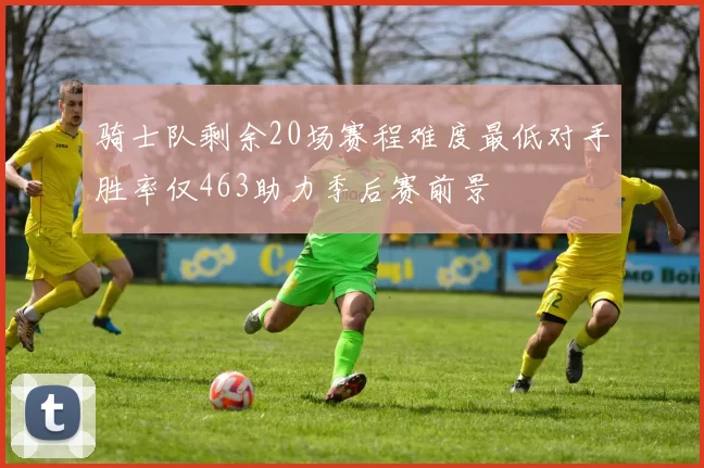 骑士队剩余20场赛程难度最低对手胜率仅463助力季后赛前景