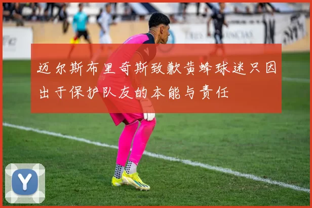 迈尔斯布里奇斯致歉黄蜂球迷只因出于保护队友的本能与责任